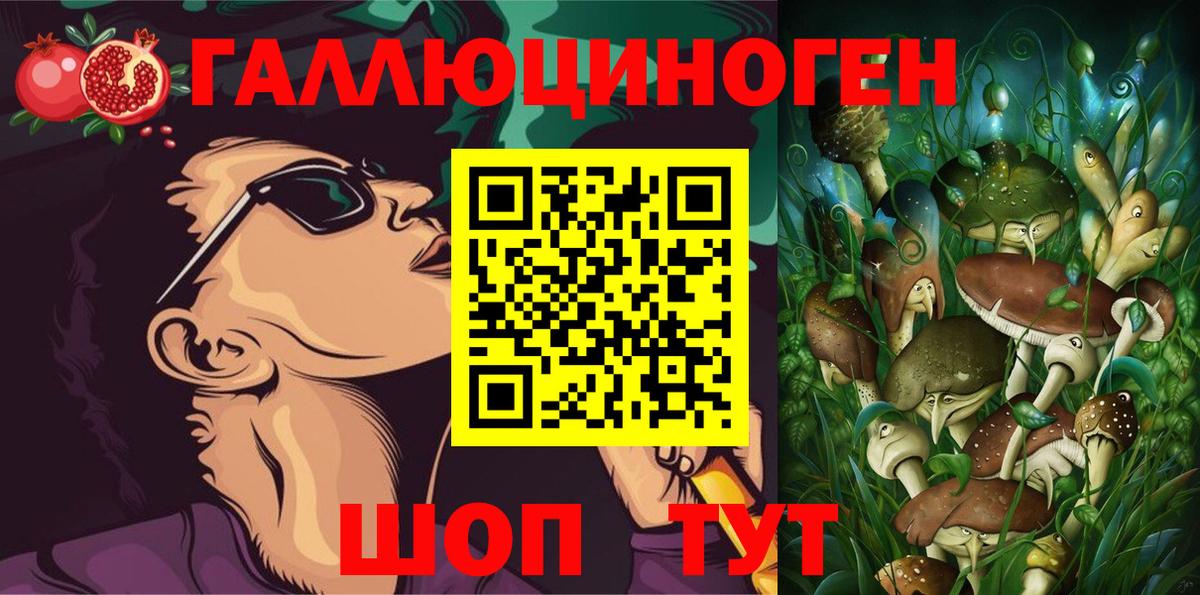 Галлюциногенные грибы прущие грибы Черкесск